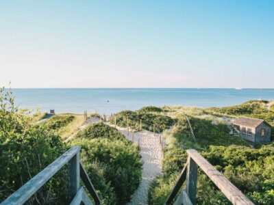 View of a beach path leading to the ocean.